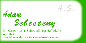 adam sebesteny business card